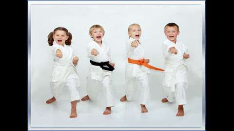 Invicta Karate Academy photo